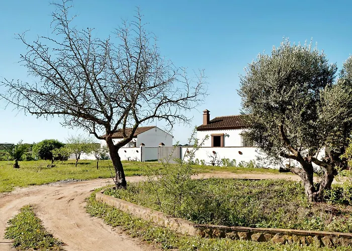 Calas De